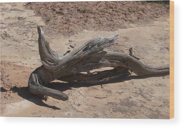 Landscape Wood Print featuring the photograph Desert Wildwood by Fortunate Findings Shirley Dickerson