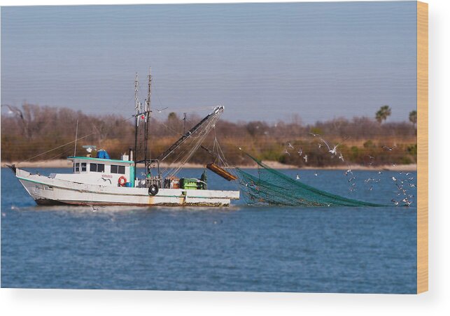 Shrimp Wood Print featuring the photograph Dying Breed by John Collins