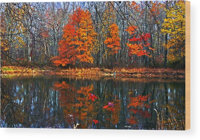 Autumn Wood Print featuring the photograph Fall colors on small pond by Andy Lawless