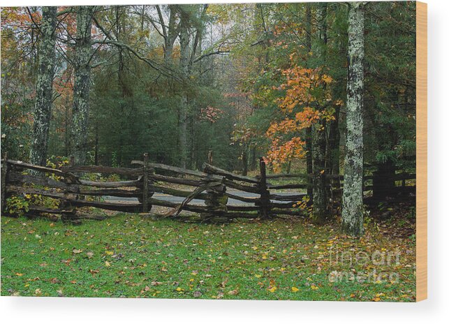 Yellow Wood Print featuring the photograph Fall Split Rail Fence Scenic by Ules Barnwell