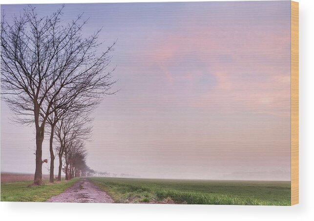 In A Row Wood Print featuring the photograph Flat Landscape Sunset by Simonmasters