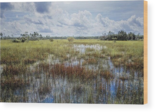 Everglades Wood Print featuring the photograph florida Everglades 0177 by Rudy Umans