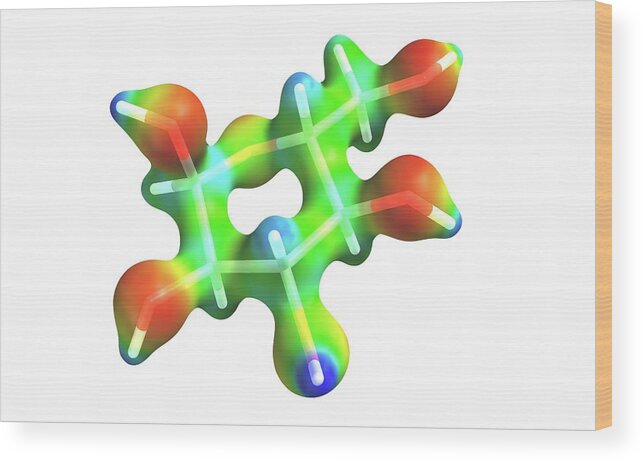 Rod Wood Print featuring the photograph Glucose Molecule by Alfred Pasieka