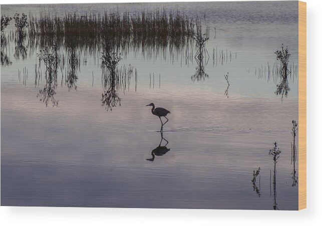 Bird Wood Print featuring the photograph Great Blue Heron At Sundown by William Bitman