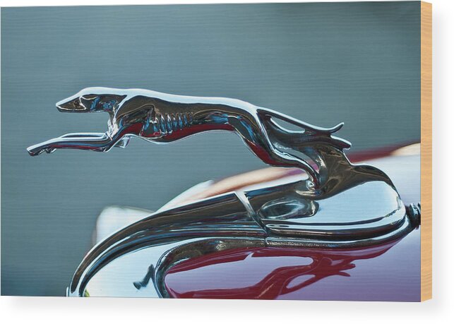 Greyhound Wood Print featuring the photograph Greyhound Hood Ornament by Ron Roberts