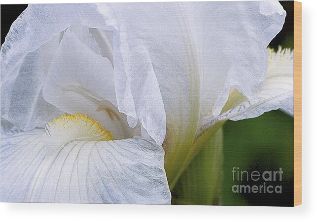 Ron Roberts Wood Print featuring the photograph Iris Abstract by Ron Roberts