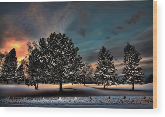 Chilly Wood Print featuring the digital art Lady winter bringing a cold snap by Jeff S PhotoArt