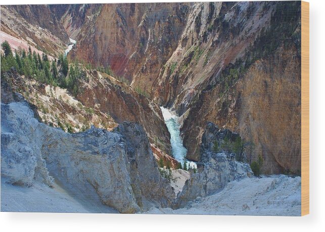 Lower Falls Wood Print featuring the photograph Lower Falls - Yellowstone by Dany Lison