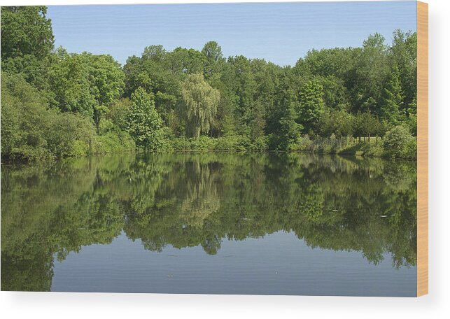 Reflection Wood Print featuring the photograph Mirrored by Judy Salcedo