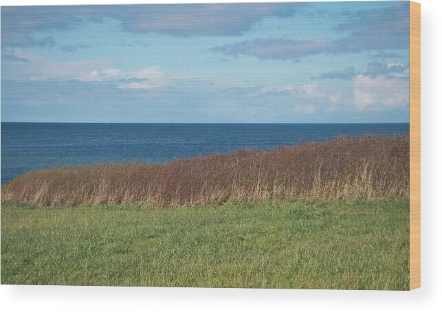 North Beach Port Townsend Washington Olympic Straits Juan De Fuca Pacific Northwest Wood Print featuring the photograph North Beach by Laurie Stewart