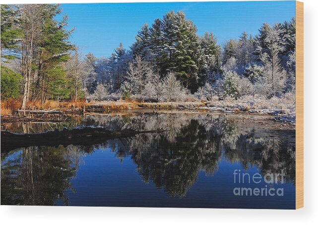 Snow Wood Print featuring the photograph November Snow by Mim White