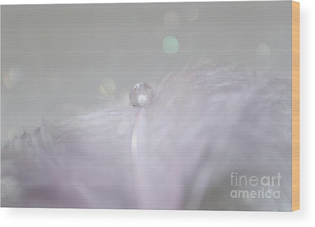 Feather Wood Print featuring the photograph Pixie Dust by Krissy Katsimbras