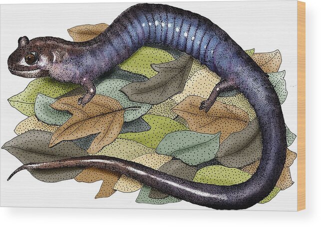 Red Hills Salamander Wood Print featuring the photograph Red Hills Salamander by Roger Hall