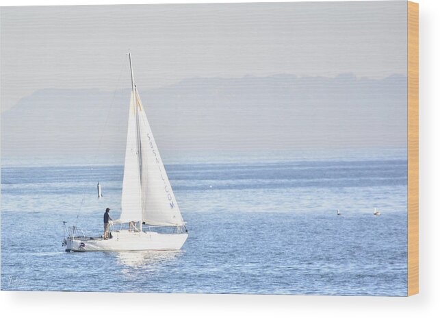 Sailing Wood Print featuring the photograph Sailing Peace by Jody Lane