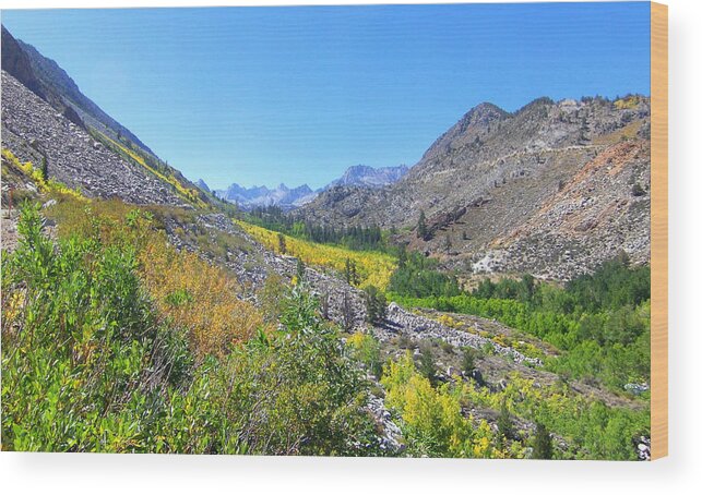 White Mountain Wood Print featuring the photograph Scenic Peace by Marilyn Diaz