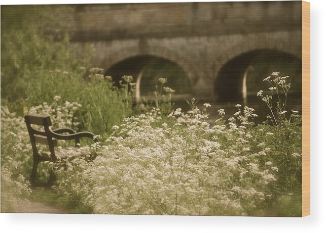 London Wood Print featuring the photograph Serenity by Teresa Tilley