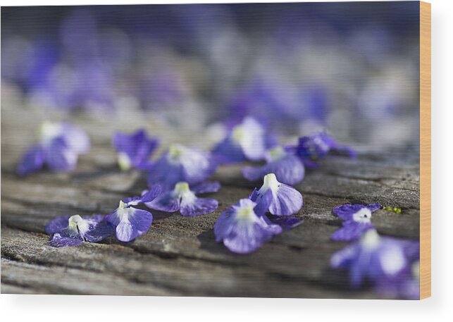 Floral Wood Print featuring the photograph Spent by Priya Ghose