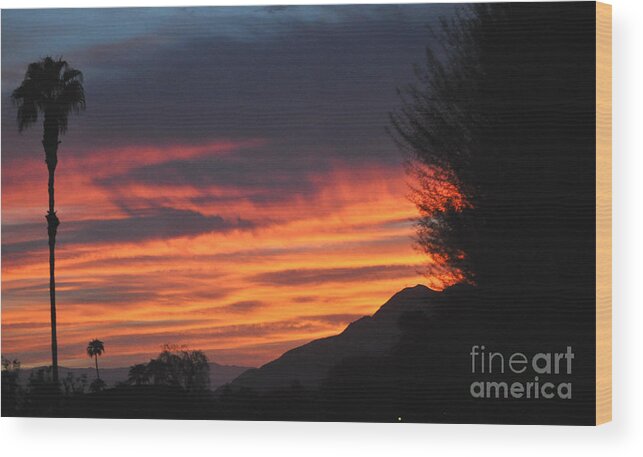 Sunrise Wood Print featuring the photograph Sunrise With Lone Sentinel Over Desert by Jay Milo