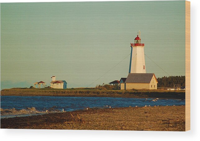 Sunset Wood Print featuring the photograph Sunset at the Point by Ron Haist