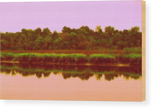 Ashley River Wood Print featuring the photograph The Ashley River by Randall Weidner