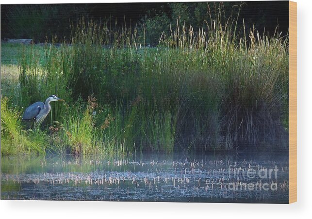 Birds Wood Print featuring the photograph The Fisherman by Julia Hassett