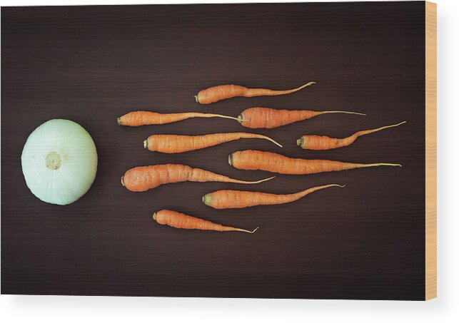 Still Life Wood Print featuring the photograph Vegetable Reproduction by Nermin Smaji?