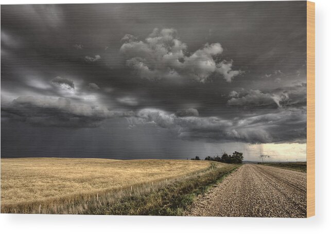 Storm Wood Print featuring the photograph Storm Clouds Saskatchewan #26 by Mark Duffy