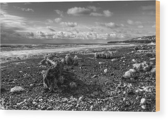 Monocrome Wood Print featuring the photograph Icy Alaskan Beach by Michele Cornelius