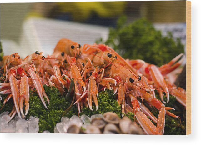 Norway Lobster Wood Print featuring the photograph Langoustines at the Market by Heather Applegate