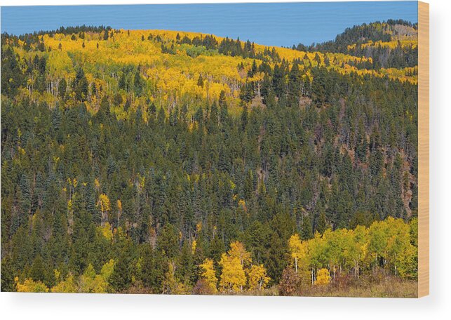Fall Wood Print featuring the photograph Over the hill by Carolyn D'Alessandro
