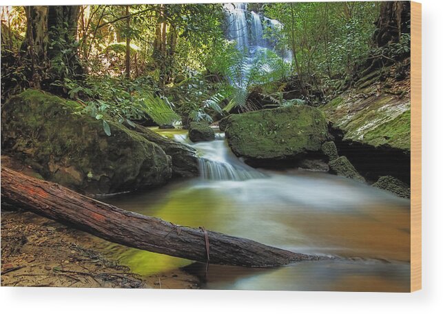 Rain Forest Wood Print featuring the photograph Serenity in the Mountains by Mark Lucey