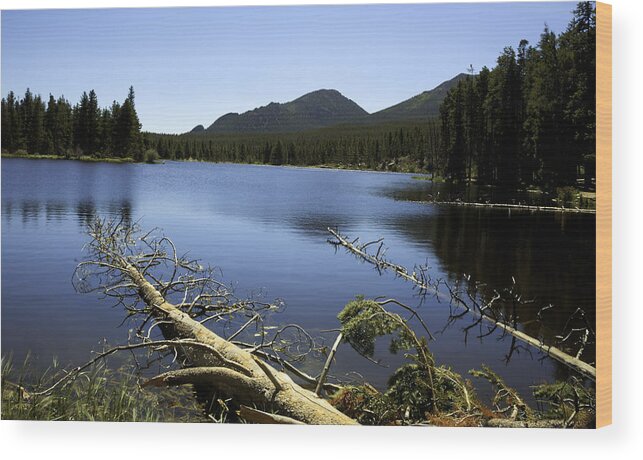 Rocky Mountain National Park Wood Print featuring the photograph Sprague Lake Rocky Mountain National Park by Gary Batha