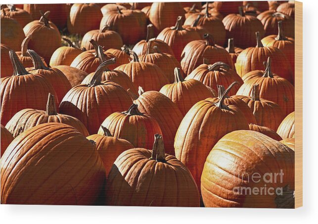 Fall Wood Print featuring the photograph The Great Pumpkin by Brenda Giasson