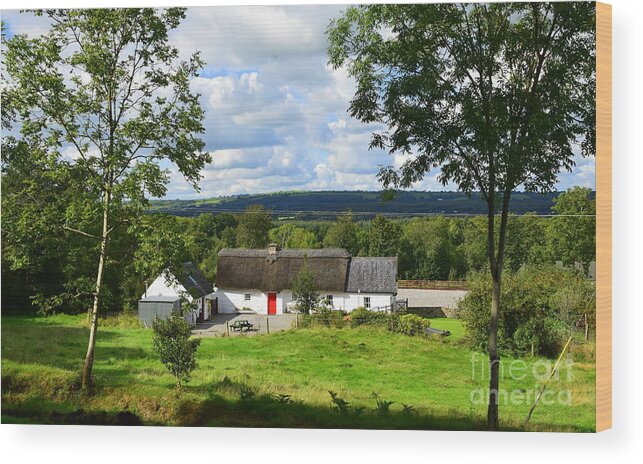 Thatched Cottage Wood Print featuring the photograph A country scene #2 by Joe Cashin