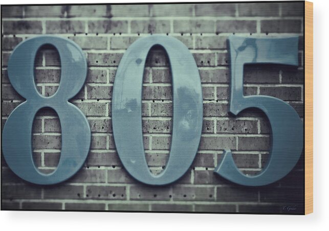 805 Wood Print featuring the photograph 805 Sea Blue on Brick by Tony Grider