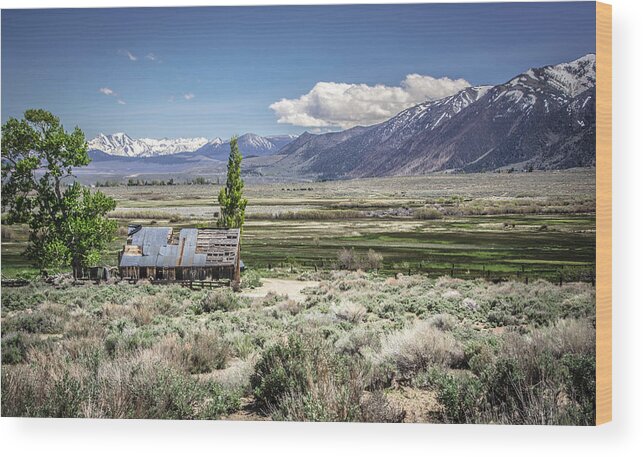 Mono County Wood Print featuring the photograph Abandoned by Steph Gabler