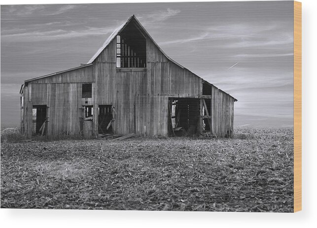 Photography Wood Print featuring the photograph Aged and Forgotten Barn by Theresa Campbell