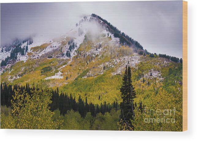 Utah Wood Print featuring the photograph Alpine Loop Autumn Storm - Wasatch Mountains by Gary Whitton