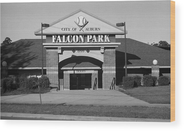 America Wood Print featuring the photograph Auburn, NY - Falcon Park BW by Frank Romeo