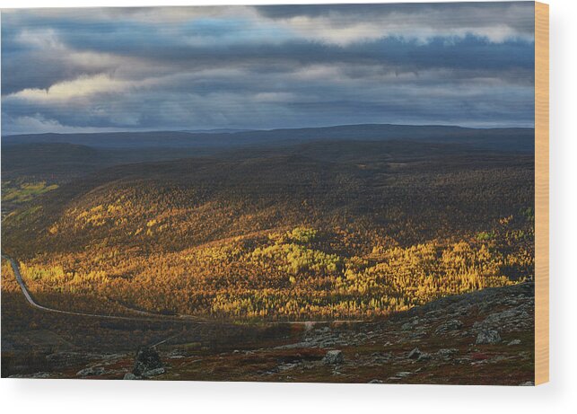 Sun Rays Wood Print featuring the photograph Autumnal River Valley by Pekka Sammallahti