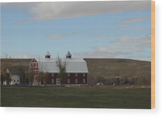 Barn Wood Print featuring the photograph Barn Again 25 by Cathy Anderson