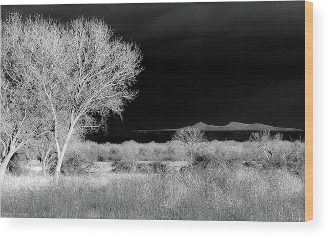Infrared Wood Print featuring the photograph Bosque del Apache - Infrared by Britt Runyon