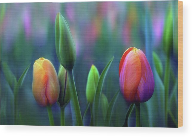 Tulips Wood Print featuring the photograph Breezy by Jessica Jenney