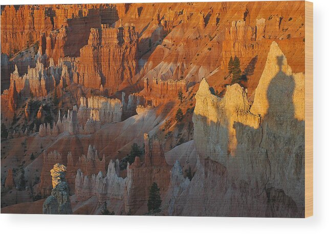 Bryce Canyon Wood Print featuring the photograph Bryce Canyon Morning by Bruce Gourley