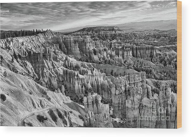 Bryce Canyon Wood Print featuring the photograph Bryce Hoodoo x BW by Chuck Kuhn