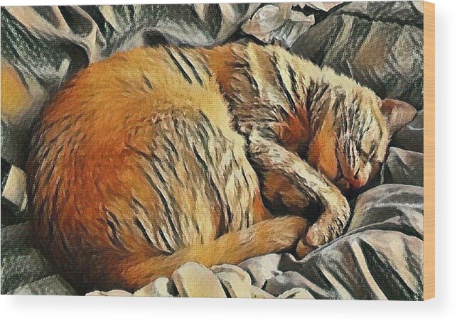 Cat Wood Print featuring the mixed media Buddy the Cat Napping Art Print by Stacie Siemsen