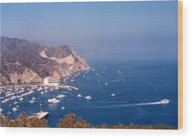 Catalina Island Calif Wood Print featuring the photograph Catalina Calif............ by Tanya Tanski