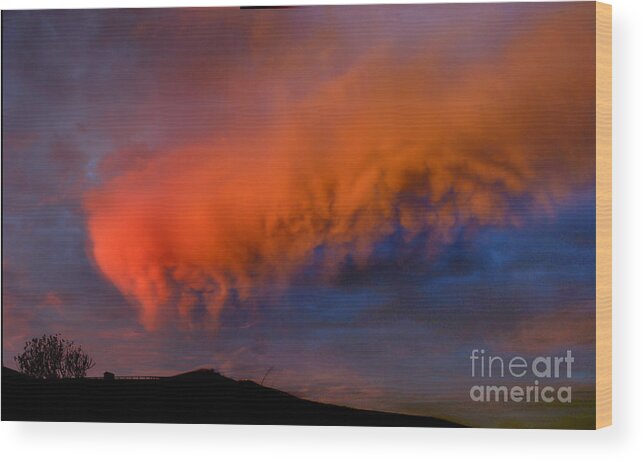 Sonoma County Wood Print featuring the photograph Caterpillar Cloud in the Sky by Wernher Krutein