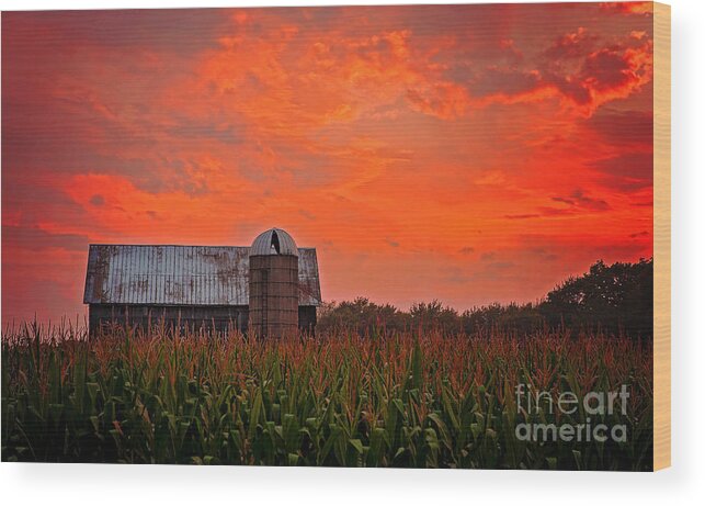 Ludington Michigan Wood Print featuring the photograph Corn by Randall Cogle