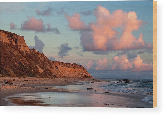 Newport Beach Wood Print featuring the photograph Crystal Cove Reflections by Cliff Wassmann